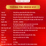 Ghế Giám Đốc da bò Massage chỉnh điện VBOSS - V21