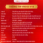 Ghế Giám Đốc da bò Massage chỉnh điện VBOSS - V18
